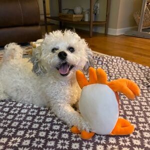 Like this for show notification!